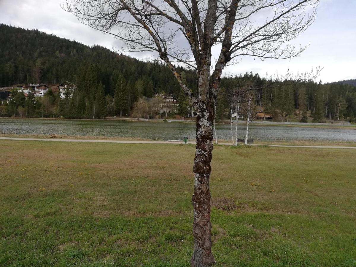 Ferienwohnung Am Waldweg Kolsass Bagian luar foto